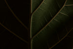 Arcello - Home